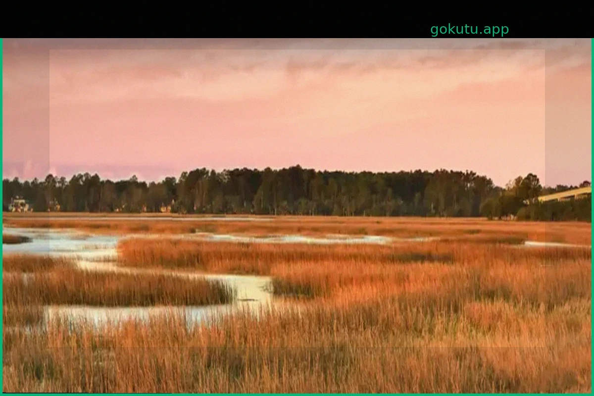 The Landings on Skidaway Island: Coastal Living, Championship Golf, and Exceptional Real Estate Opportunities
