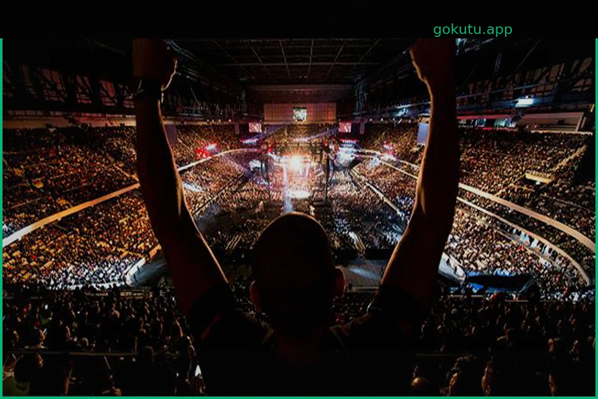 How MMA Fans Are Embracing Online Entertainment