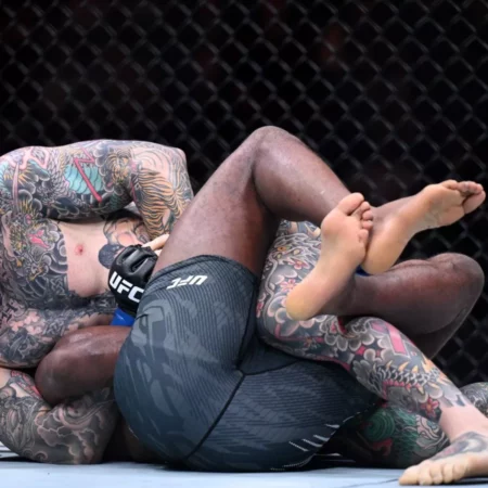 Leon Edwards vs. Sean Brady: Fight Highlights