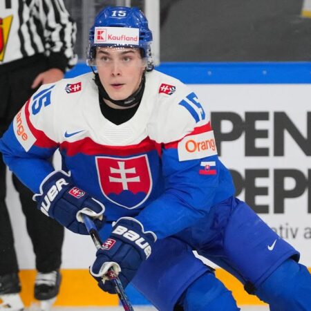 Blues Recall Rookie Dalibor Dvorsky from AHL