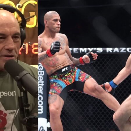 Rogan: Pereira May Have Been Ill and Injured at UFC 313