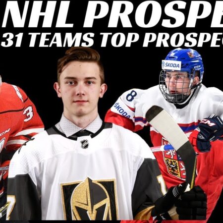 Top NHL Prospects Across All 32 Teams