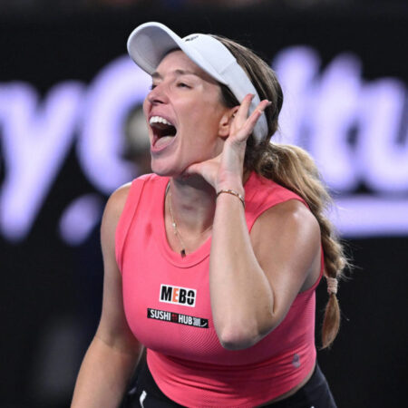 Tennis Star Danielle Collins Welcomes Injured Dog into Her Family