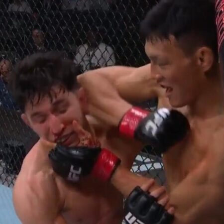 UFC 314: Nikita Krylov vs. Dominick Reyes