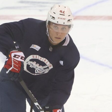 Capitals` Martin Fehervary out for season with knee injury