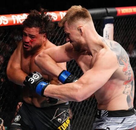 How Sparring UFC Heavyweight Alexander Volkov Launched Welterweight Luis Francischinelli’s Career