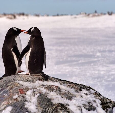 Penguins Coaching Vacancy Brings Plenty of Intrigue