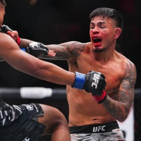 UFC 317 Bonuses Awarded: Van and Royval Claim Fight of the Night