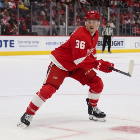 Forward Christian Fischer retires from NHL at 28