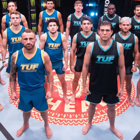 The Octagon Beckons: Unpacking The Ultimate Fighter 33’s Path to Glory