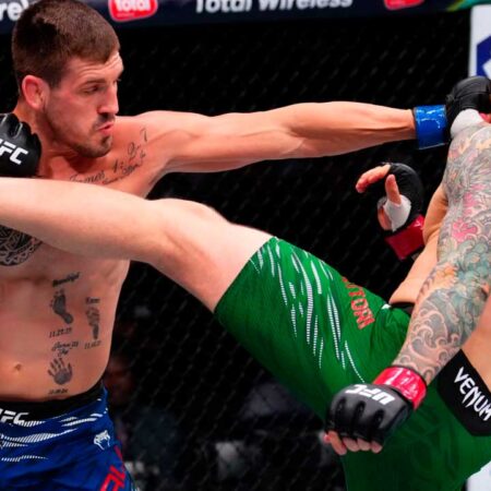 Mixed Martial Arts: A Global Symphony of Skill and Shock