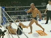 The Unraveling: Wanderlei Silva’s Chaotic Comeback Culminates in Disqualification and Post-Fight Knockout