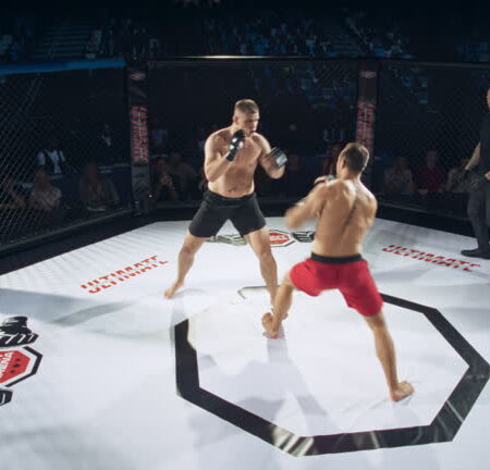 Beyond the Octagon and Ring: Unpacking the High Stakes & Unseen Battles in Combat Sports