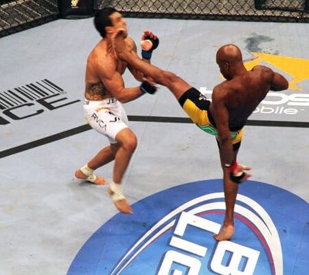 When Legends Collide: Unpacking the Silva vs. Freitas Post-Fight Fiasco