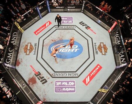 UFC Vancouver: The Octagon’s Grand Return with Title Dreams and Local Flair