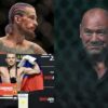 UFC 2026 White House Event: Dana White Confronts Critical Star Shortage as Sean O’Malley Steps into the Vacuum