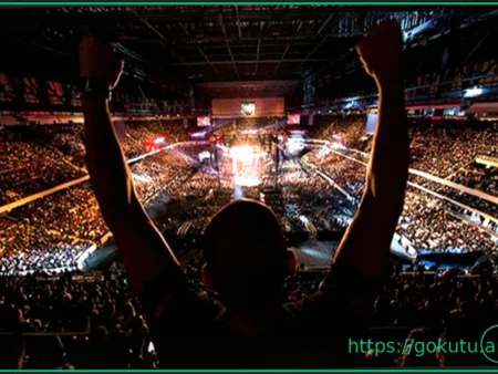 Глубокое Погружение: Как Предварительный Анализ Делает MMA Более Увлекательным