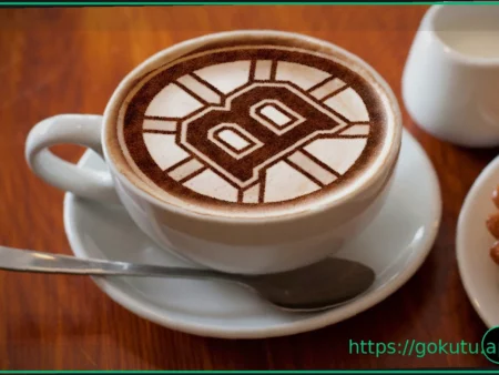 Boston Bruins Sign Top Prospect James Hagens to AHL Tryout