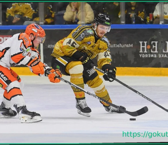 EIHL Sunday: All Ten Teams in Action, Championship Race Continues