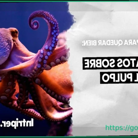 Nuevos Lanzamientos: El Dilema del Huevo o el Pulpo