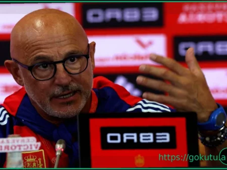 Spain manager Luis de la Fuente: “We have 20-22 players in mind for World Cup squad”