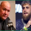 Jake Paul Slams Dana White: ‘Not Smart Enough’ to Fix UFC’s ‘Dying’ Brand