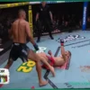 Реакция на нокаут Прохазки от Ульберга на UFC 327: Плюсы для Прохазки