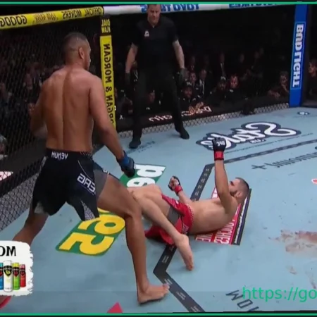 Реакция на нокаут Прохазки от Ульберга на UFC 327: Плюсы для Прохазки