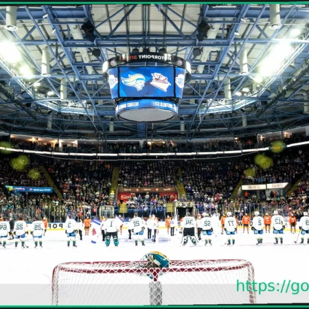 Где смотреть финальные игры плей-офф EIHL