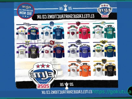 EIHL Playoff Jersey Auction is Now Live!