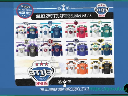 From Rink to Screen: How NHL Intensity Translates to Modern Fan Entertainment