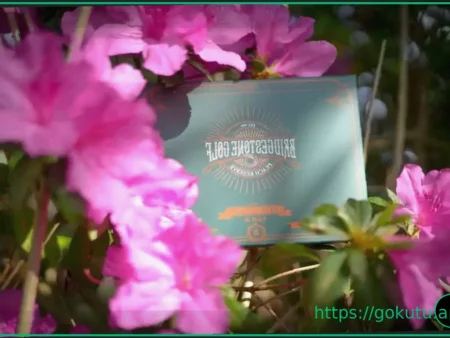 Bridgestone Golf Unveils 2026 Peach Reserve Vault: A Limited-Edition Homage to Golf’s Spring Major