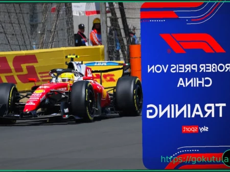 Шины Формулы-1 2026: Какие составы на каких Гран-при?